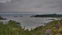 ./images/calvert/foggy-cove/20250809/foggy-cove20250809_084507M.jpg