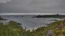 ./images/calvert/foggy-cove/20250809/foggy-cove20250809_085010M.jpg