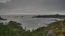 ./images/calvert/foggy-cove/20250809/foggy-cove20250809_085510M.jpg