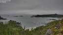./images/calvert/foggy-cove/20250809/foggy-cove20250809_090011M.jpg