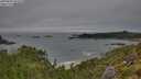 ./images/calvert/foggy-cove/20250809/foggy-cove20250809_091010M.jpg
