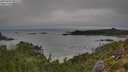 ./images/calvert/foggy-cove/20250809/foggy-cove20250809_091510M.jpg