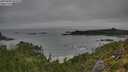 ./images/calvert/foggy-cove/20250809/foggy-cove20250809_092010M.jpg