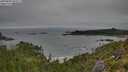 ./images/calvert/foggy-cove/20250809/foggy-cove20250809_092507M.jpg