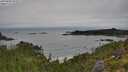 ./images/calvert/foggy-cove/20250809/foggy-cove20250809_093012M.jpg