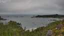 ./images/calvert/foggy-cove/20250809/foggy-cove20250809_093509M.jpg