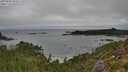 ./images/calvert/foggy-cove/20250809/foggy-cove20250809_094512M.jpg