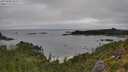 ./images/calvert/foggy-cove/20250809/foggy-cove20250809_095011M.jpg