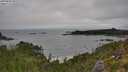 ./images/calvert/foggy-cove/20250809/foggy-cove20250809_095508M.jpg