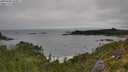 ./images/calvert/foggy-cove/20250809/foggy-cove20250809_100011M.jpg