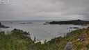 ./images/calvert/foggy-cove/20250809/foggy-cove20250809_100509M.jpg