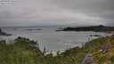 ./images/calvert/foggy-cove/20250809/foggy-cove20250809_101010M.jpg