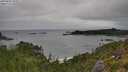 ./images/calvert/foggy-cove/20250809/foggy-cove20250809_102011M.jpg