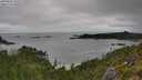 ./images/calvert/foggy-cove/20250809/foggy-cove20250809_102509M.jpg
