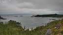 ./images/calvert/foggy-cove/20250809/foggy-cove20250809_103011M.jpg