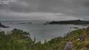 ./images/calvert/foggy-cove/20250809/foggy-cove20250809_103509M.jpg