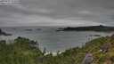 ./images/calvert/foggy-cove/20250809/foggy-cove20250809_104010M.jpg