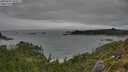 ./images/calvert/foggy-cove/20250809/foggy-cove20250809_104511M.jpg