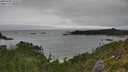 ./images/calvert/foggy-cove/20250809/foggy-cove20250809_105510M.jpg