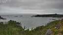 ./images/calvert/foggy-cove/20250809/foggy-cove20250809_110012M.jpg