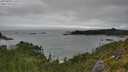./images/calvert/foggy-cove/20250809/foggy-cove20250809_110509M.jpg