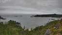 ./images/calvert/foggy-cove/20250809/foggy-cove20250809_111009M.jpg
