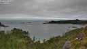 ./images/calvert/foggy-cove/20250809/foggy-cove20250809_111510M.jpg