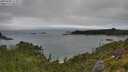 ./images/calvert/foggy-cove/20250809/foggy-cove20250809_112011M.jpg