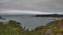 ./images/calvert/foggy-cove/20250809/foggy-cove20250809_112508M.jpg