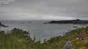 ./images/calvert/foggy-cove/20250809/foggy-cove20250809_113508M.jpg