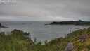 ./images/calvert/foggy-cove/20250809/foggy-cove20250809_114010M.jpg