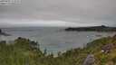 ./images/calvert/foggy-cove/20250809/foggy-cove20250809_114510M.jpg