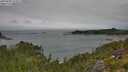 ./images/calvert/foggy-cove/20250809/foggy-cove20250809_115011M.jpg