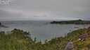 ./images/calvert/foggy-cove/20250809/foggy-cove20250809_115510M.jpg