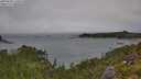./images/calvert/foggy-cove/20250809/foggy-cove20250809_120510M.jpg