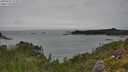 ./images/calvert/foggy-cove/20250809/foggy-cove20250809_122011M.jpg