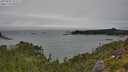 ./images/calvert/foggy-cove/20250809/foggy-cove20250809_122509M.jpg