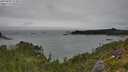 ./images/calvert/foggy-cove/20250809/foggy-cove20250809_123008M.jpg