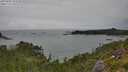 ./images/calvert/foggy-cove/20250809/foggy-cove20250809_123510M.jpg