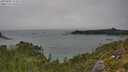 ./images/calvert/foggy-cove/20250809/foggy-cove20250809_124509M.jpg