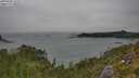 ./images/calvert/foggy-cove/20250809/foggy-cove20250809_125009M.jpg