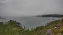 ./images/calvert/foggy-cove/20250809/foggy-cove20250809_125509M.jpg