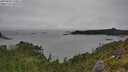 ./images/calvert/foggy-cove/20250809/foggy-cove20250809_130011M.jpg