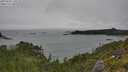 ./images/calvert/foggy-cove/20250809/foggy-cove20250809_130510M.jpg