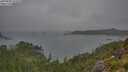 ./images/calvert/foggy-cove/20250809/foggy-cove20250809_133510M.jpg