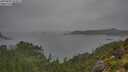 ./images/calvert/foggy-cove/20250809/foggy-cove20250809_134010M.jpg