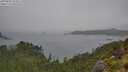 ./images/calvert/foggy-cove/20250809/foggy-cove20250809_143011M.jpg