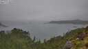./images/calvert/foggy-cove/20250809/foggy-cove20250809_143510M.jpg