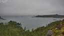 ./images/calvert/foggy-cove/20250809/foggy-cove20250809_144010M.jpg