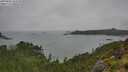 ./images/calvert/foggy-cove/20250809/foggy-cove20250809_144510M.jpg